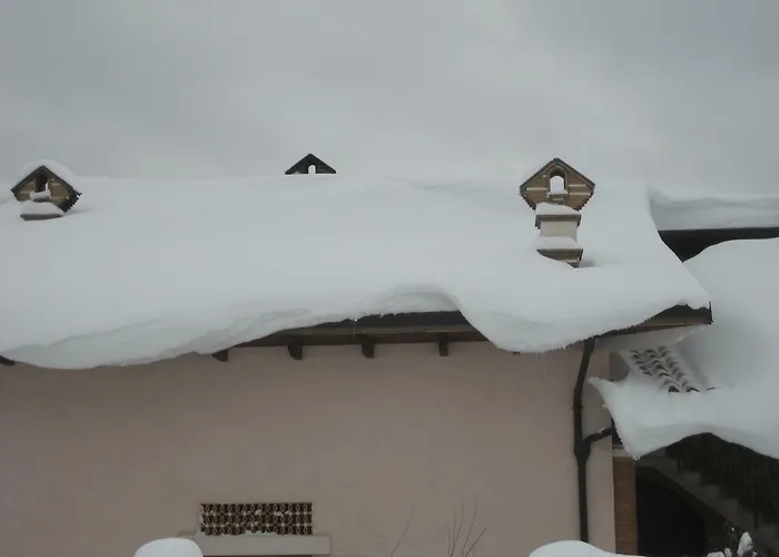 Cherubini Daniela * Coppito